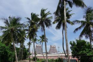 nagarathar nest