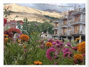 the grand lamkhaga by mountain bee