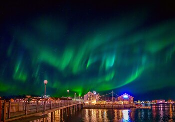 anker brygge