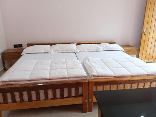 earth lounge resort