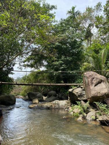 earth lounge resort