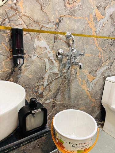 hotel shri ji palace