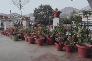 hotel country heights