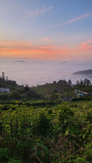 kodaikanal