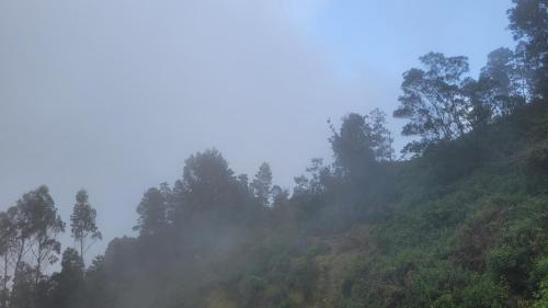kodaikanal