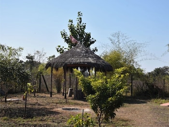 junglee bagicha agro tourism