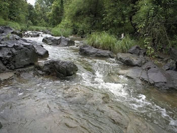 junglee bagicha agro tourism