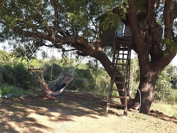 junglee bagicha agro tourism