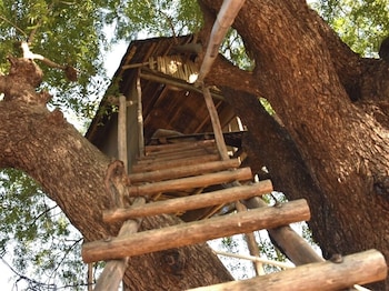 junglee bagicha agro tourism