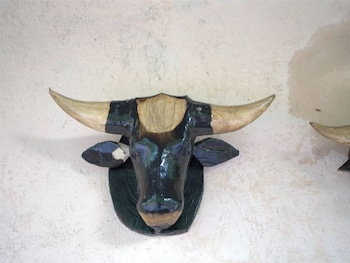 junglee bagicha agro tourism