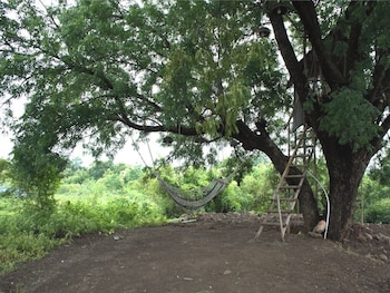 junglee bagicha agro tourism