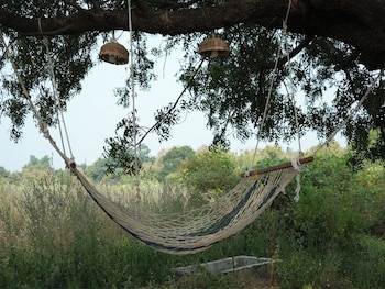 junglee bagicha agro tourism