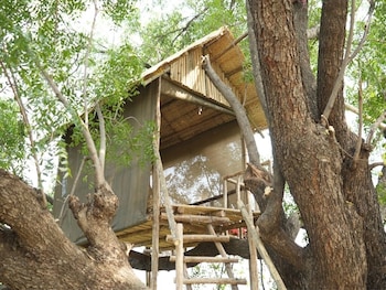 junglee bagicha agro tourism