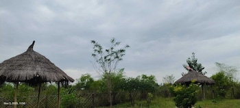 Junglee Bagicha Agro Tourism,,3 star