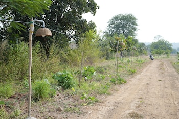 junglee bagicha agro tourism