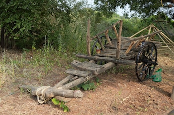 junglee bagicha agro tourism
