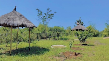 junglee bagicha agro tourism