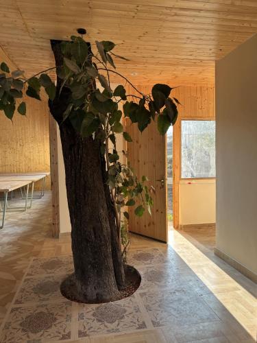 bundela woods cottage and restaurant