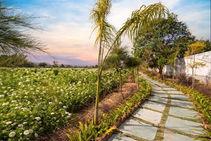 geeta bagh luxury private pool villa in pushkar