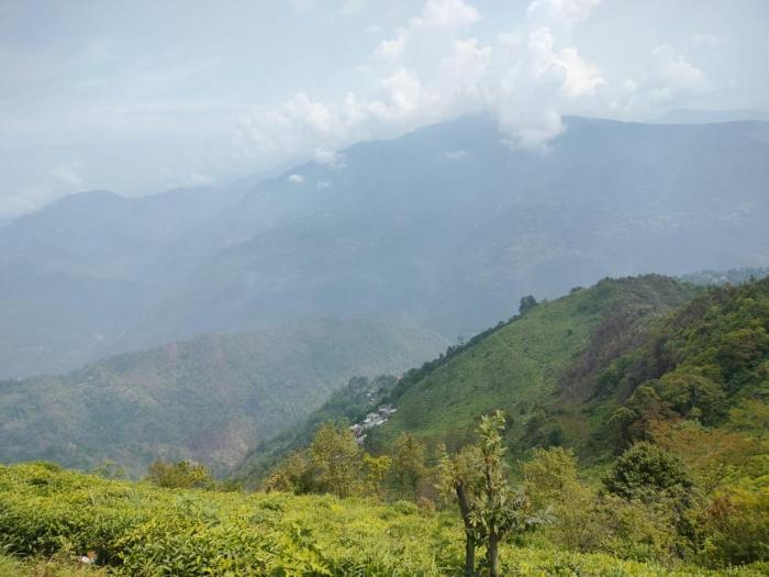 mukhia homestay