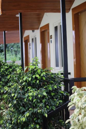 lk resorts