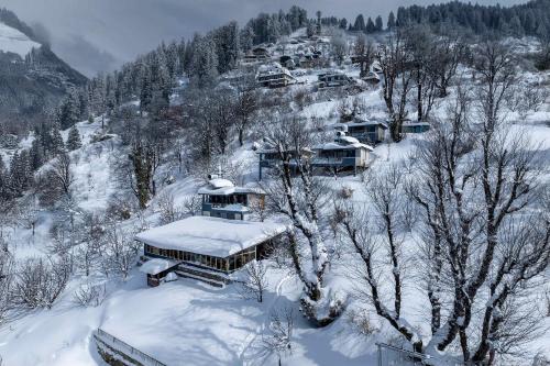 echor himalayan sky cabins sethan manali