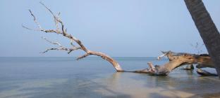 tasvir lagoon retreat