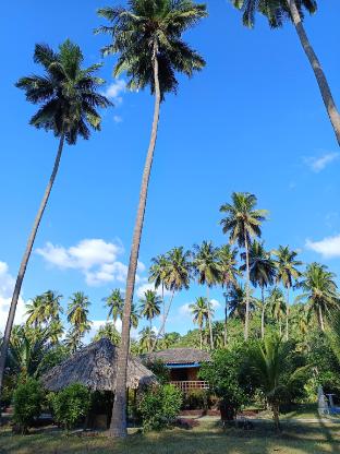 tasvir lagoon retreat