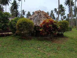 tasvir lagoon retreat