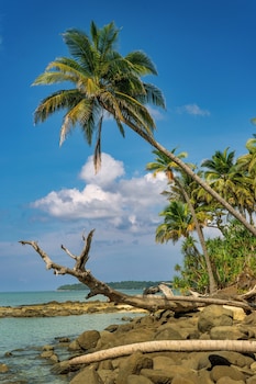 tasvir lagoon retreat