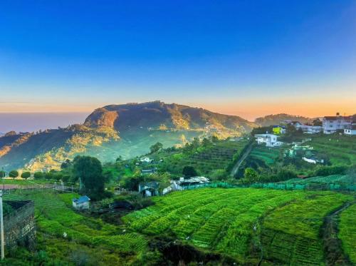 luxe vista resort kodai