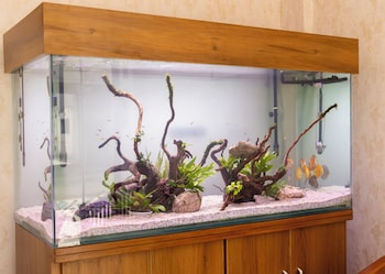 the wilsons hotels and resorts