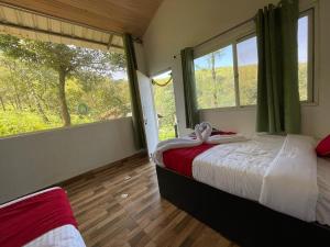 kanasu coffeenadu homestay