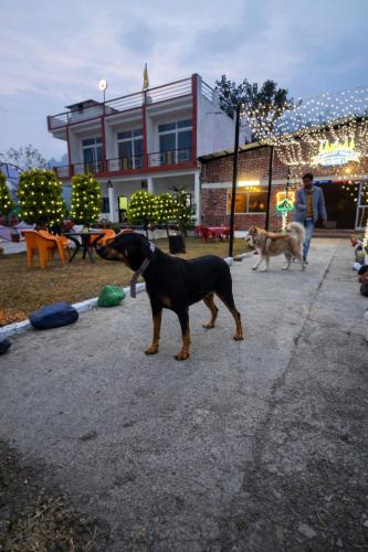 forest nest farm stay