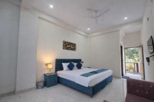 forest nest farm stay