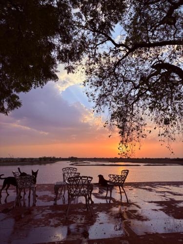 junia bagh a lakeside homestay