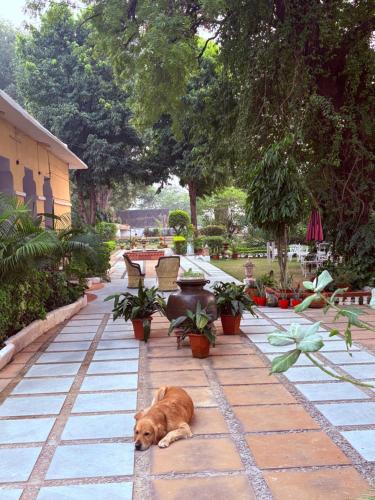 junia bagh a lakeside homestay