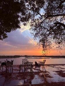 junia bagh a lakeside homestay