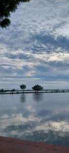 junia bagh a lakeside homestay