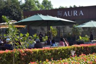aura resorts