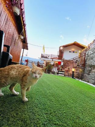 the town escape cottage