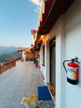 the town escape cottage