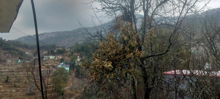 mount view guest house