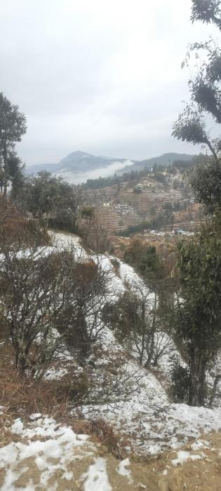 mount view guest house