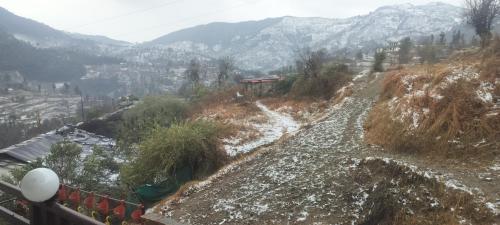 mount view guest house
