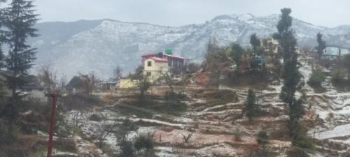 mount view guest house