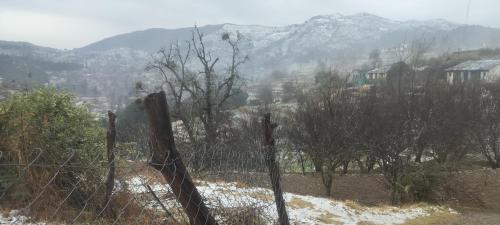 mount view guest house