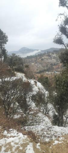 mount view guest house