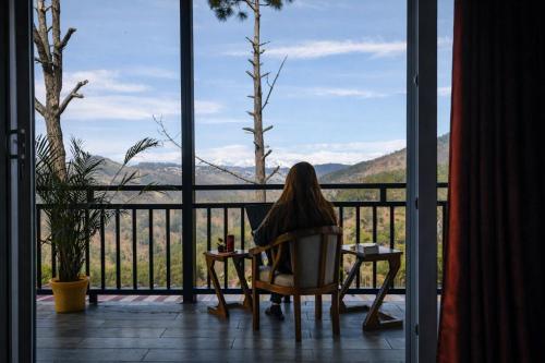 pine country resort