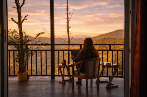 pine country resort